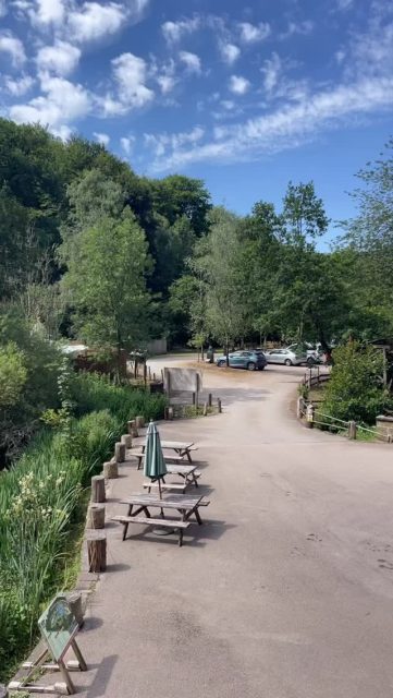 This morning I am stewarding at the FarOpen summer exhibition at the Dean Heritage Center.. in between chatting with visitors I am doing some research for my upcoming dissertation! It really is a beautiful spot in the heart of the forest! @faropen.artists @fridaylawrence